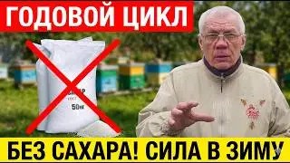Годовой цикл ухода за пчелами Работы пчеловода на пасеке в сентябре