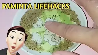 Paminta dishwashing liquid Lifehacks