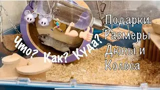 ПЕСЧАНКИ РАЗМЕРЫ ДЮНЫ И КОЛЕСА
