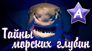 Тайны морских глубин