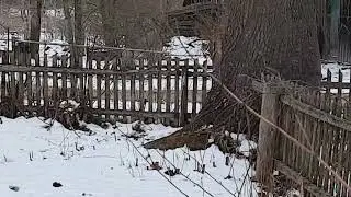 Новые границы