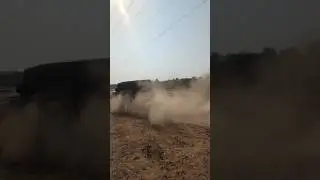 thar🔥