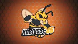 Hornisse86 / Stream Intro (Unused)
