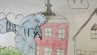 Bird Adaptations Journey