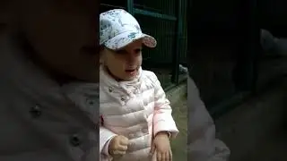 Кормим козу цветком