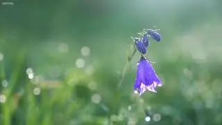 Piękna relaksująca muzyka • Spokojna muzyka fortepianowa i gitara  Słoneczne poranki