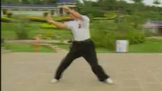 Shaolin Liu He Quan 6 coordinations Association Wan Laisheng