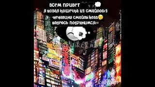 ^-^#яновенькая#котыизсмайлов#противхейт
