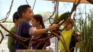 The Best of S&U! 2014 | Science & U!