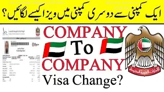 Dubai Me Rehty Howey Company Kaise change kare | How To Change Company in Dubai,Sharjah,Abu Dhabi 🇦🇪