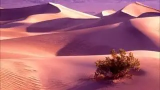 Meridian vs ReOrder feat. Stine Grove - Smile In Biscay Bay (L&L Comes Mashup of Artic Moon Rmx's)