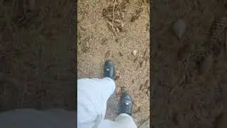 me walking on crispy pine cones
