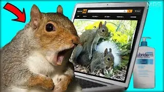 The Winners Of The Greatest Photoshop Battles Ever #4