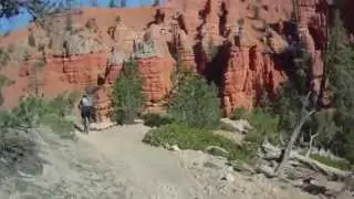 Mountain Biking The Thunder Mountain Trail - An Analysis For Intermediates