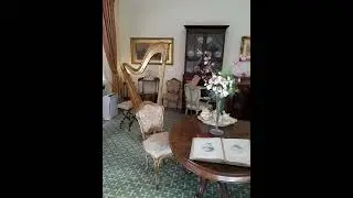 Привет из Ирландии #25 5 марта 2023