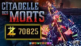 BESTE WAFFE & MASSIV VIELE PUNKTE im CITADELLE DES MORTS EASTER EGG gesammelt! (Black Ops 6 Zombies)