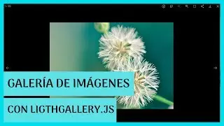 Galería de imágenes con ligthgallery.js