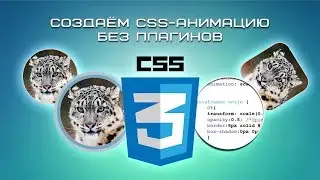 Создаем CSS-анимацию без плагинов