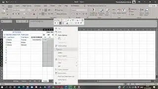Excel Lesson 7   Calculating SBA totals
