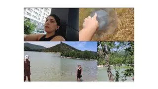 Dünyada tek qalan agaclari görməyə getdik.