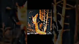 Mortal combat-Subzero vs Scorpion