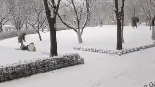 my friend sent me a video of snow in korea (pretty) ❄️✨