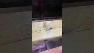 Ужас! Приехали ставить печь , а тут жесть! 