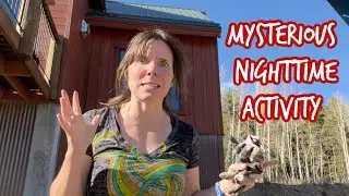 Who's Trespassing? Catching the Culprit on Camera