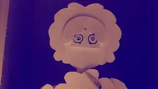 Stella pie 