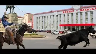 ДАГЕСТАН - ЭТО ТОЖЕ МАХАЧКАЛА!