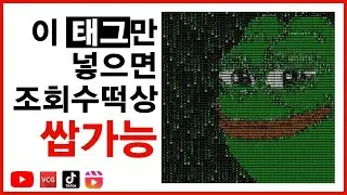 이 태그만 넣으면 조회수 떡상 쌉가능 | VCG