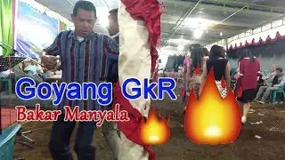 Goyang GkR 