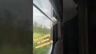 Я возвращаюсь)))