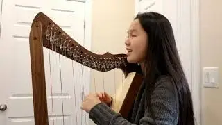 What a Wonderful World - Louis Armstrong (Harp+Voice Cover)