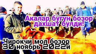 30 ноябрь 2022й Чирокчи мол бозори нархлари