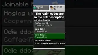 These three realm servers have no rules￼ hackers are allowed and it bedrock edition