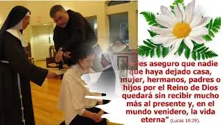 Promicion