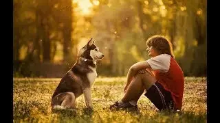 The perks of having a pet