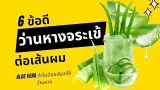 6 ข้อดีของว่านหางจระเข้ต่อเส้นผม | Aloe Vera for hair
