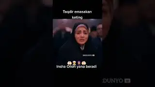 икром булогир
