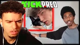 KICK PREDATOR CAUGHT IN 4K!