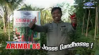 BISI Sahabat Petani: Review Kenapa Orang Indonesia Suka Makanan Pedas - Cabai Hibrida Arimbi-85