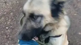 Утренняя встреча