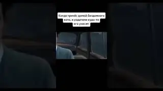 Блин #2024 #мем #toyfilms #memes #recommended #юмор #рекомендации #жиза #мемы #edit