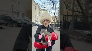 Про кота было уже лишнее😼🐈￼
