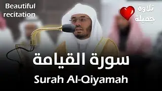 (سورة القيامة) تلاوة رائعة وخاشعة للشيخ ياسر الدوسري | Surah Al-Qiyamah - Sheikh Yasser Al-Dossary