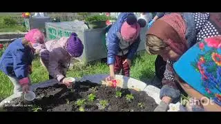 Акция: " Цветы памяти", 2024 г. с. Шипицыно Венгеровского района , НСО
