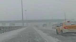 14 декабря 2020 г. барф