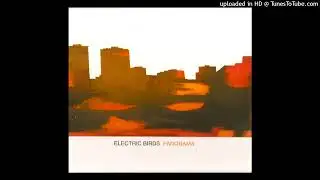 Electric Birds - Lake City