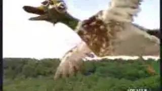 Funny Commercial - Ducks Revenge